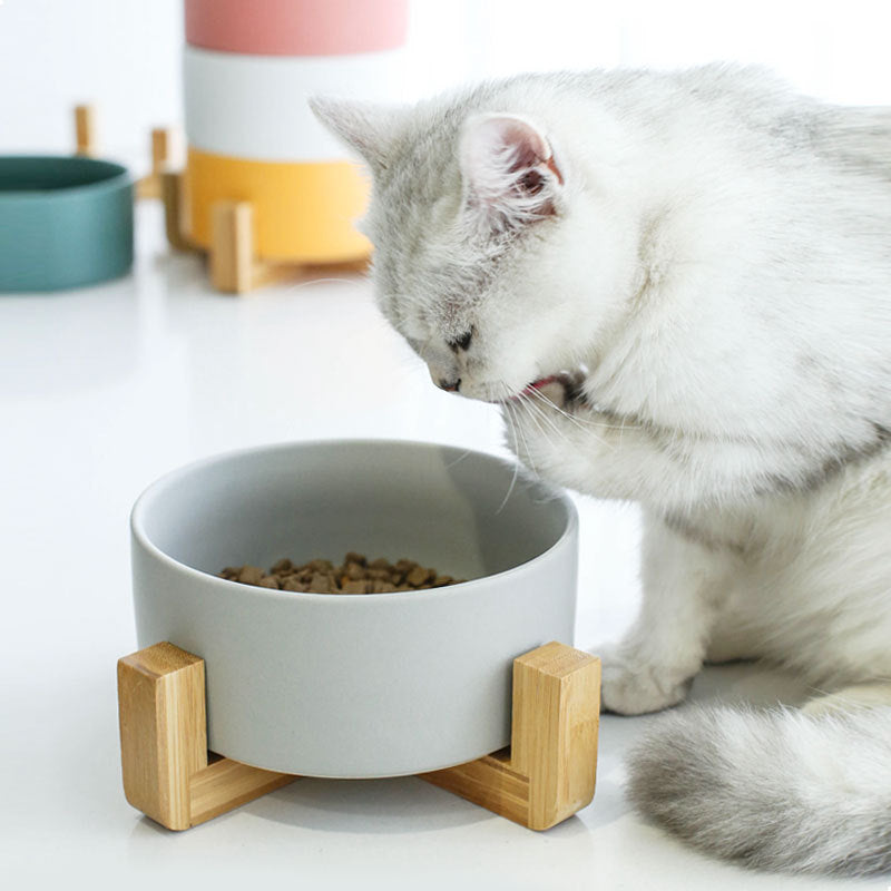 Bol ceramic pentru câini și pisici